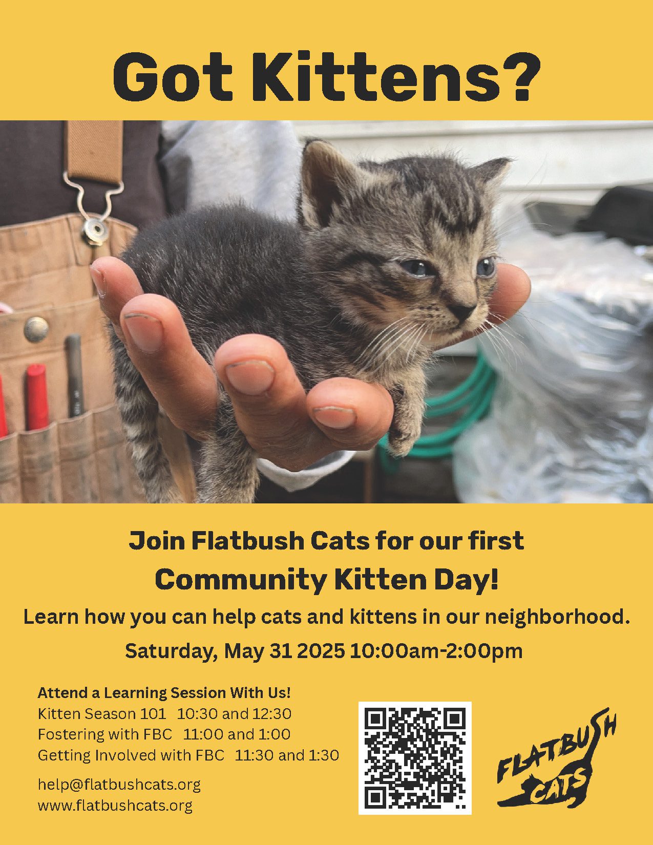2025-Community Kitten Event (3)