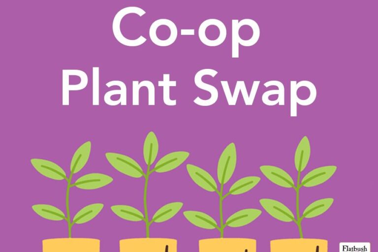 2025-swap2022_website