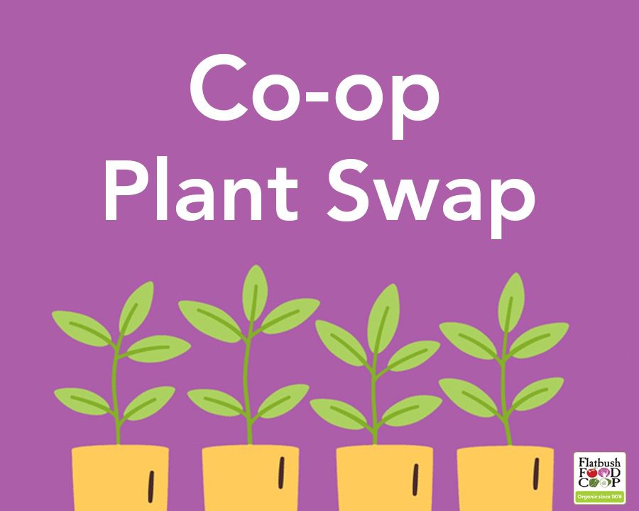 2025-swap2022_website