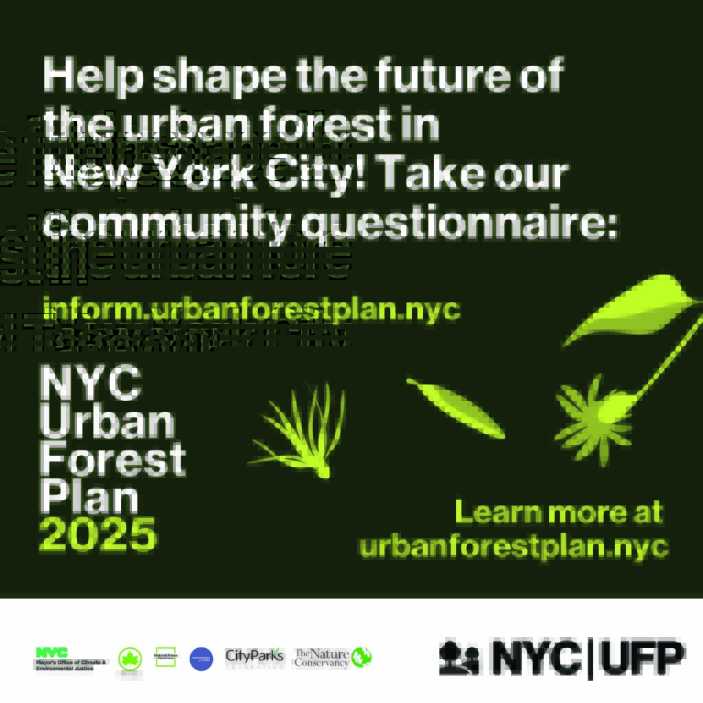 Help shape the future of the urban forest in New York City! Take our community questionnaire at inform.urbanforestplan.nyc. Learn more at urbanforestplan.nyc. NYC Urban Forest Plan 2025