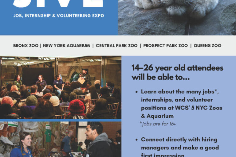 2025-2026 JIVE Flyer