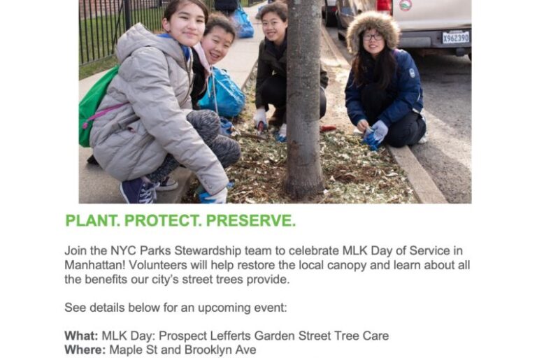 2026-2026.01.19 MLK Day Prospect Lefferts Garden Street Tree Care