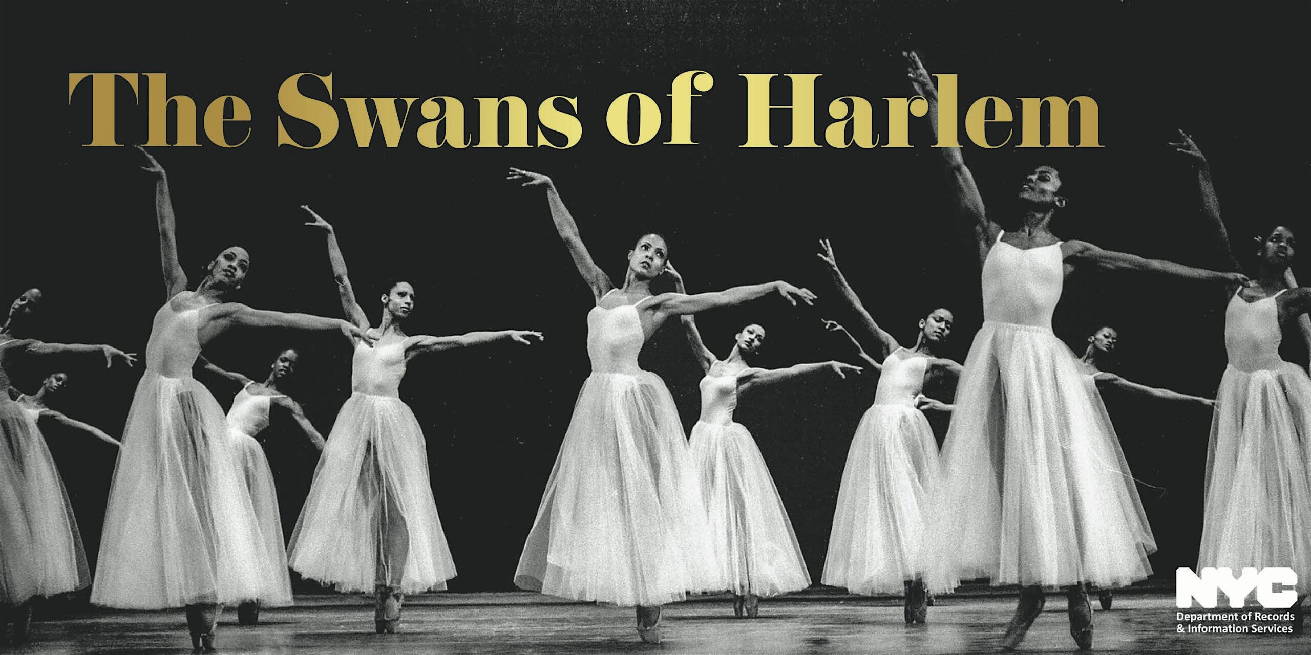 2026-theswansofharlem_finalversion